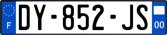 DY-852-JS