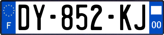 DY-852-KJ