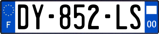 DY-852-LS