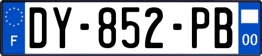 DY-852-PB