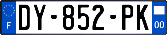DY-852-PK