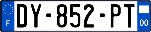 DY-852-PT