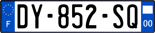 DY-852-SQ