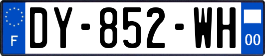 DY-852-WH