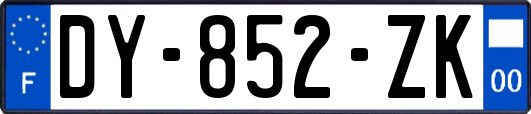 DY-852-ZK