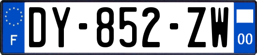 DY-852-ZW