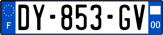 DY-853-GV