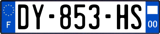 DY-853-HS