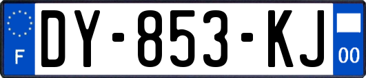 DY-853-KJ