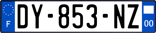 DY-853-NZ