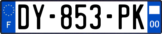 DY-853-PK