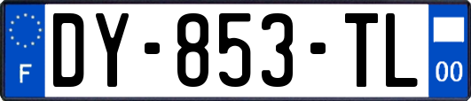 DY-853-TL