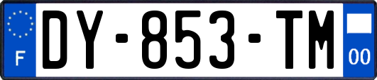 DY-853-TM