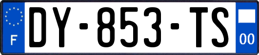 DY-853-TS