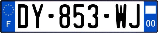 DY-853-WJ