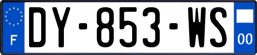 DY-853-WS