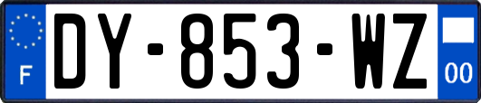 DY-853-WZ