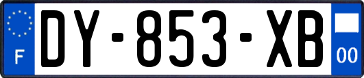 DY-853-XB