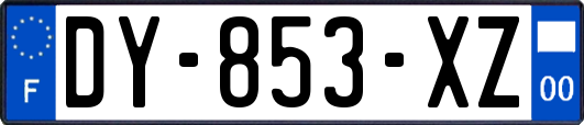 DY-853-XZ