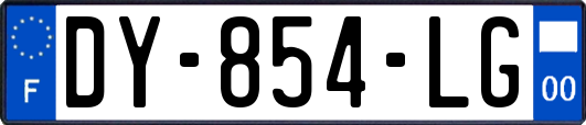 DY-854-LG