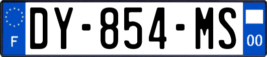 DY-854-MS