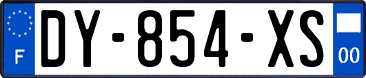 DY-854-XS