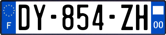 DY-854-ZH