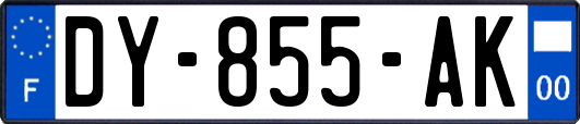 DY-855-AK