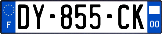 DY-855-CK