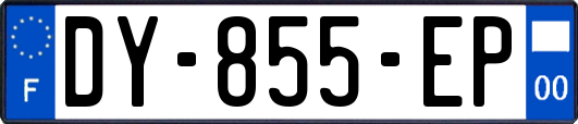 DY-855-EP