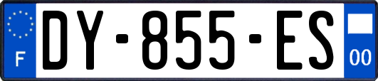 DY-855-ES