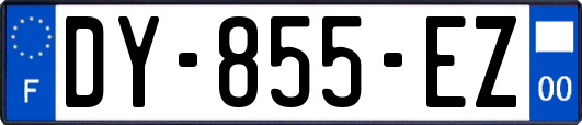DY-855-EZ