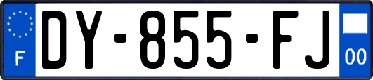 DY-855-FJ