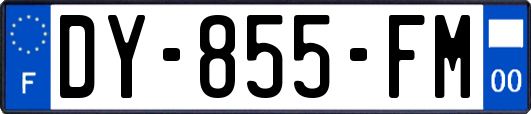 DY-855-FM