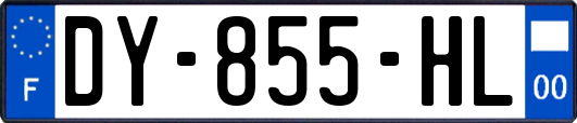 DY-855-HL