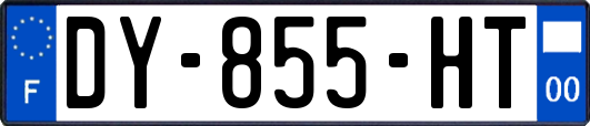 DY-855-HT