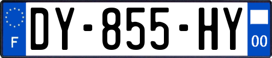 DY-855-HY