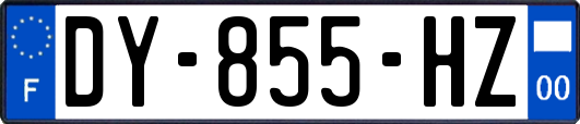 DY-855-HZ