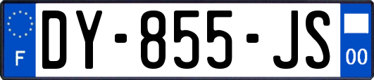 DY-855-JS