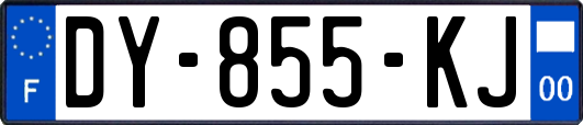 DY-855-KJ