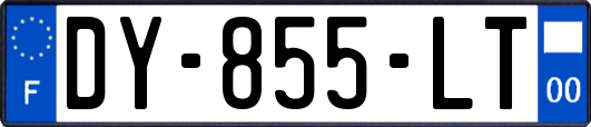 DY-855-LT