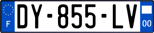 DY-855-LV