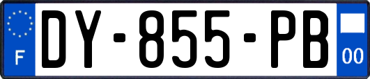 DY-855-PB