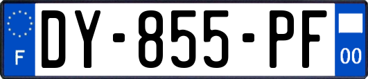 DY-855-PF