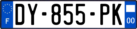DY-855-PK