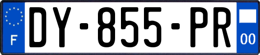 DY-855-PR
