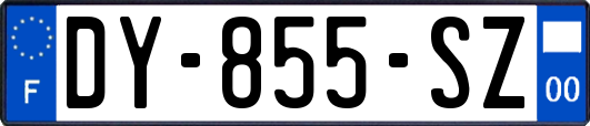 DY-855-SZ