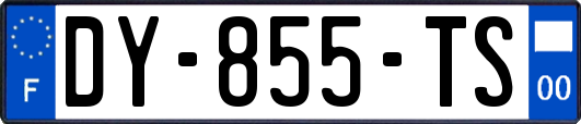 DY-855-TS