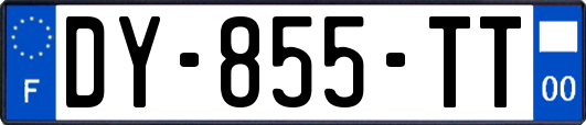 DY-855-TT