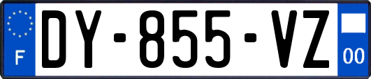 DY-855-VZ